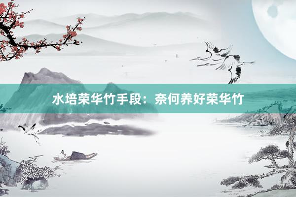 水培荣华竹手段：奈何养好荣华竹
