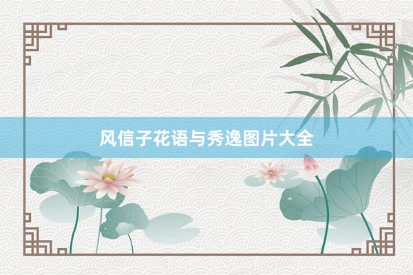 风信子花语与秀逸图片大全